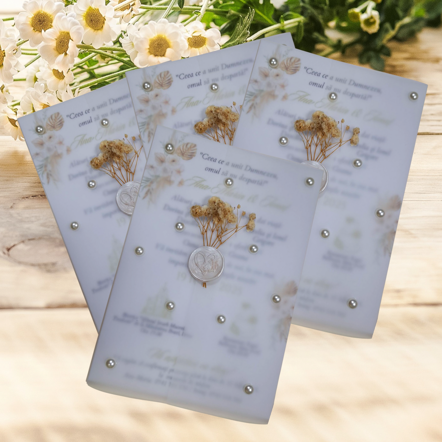 Invitatie cod Aela013