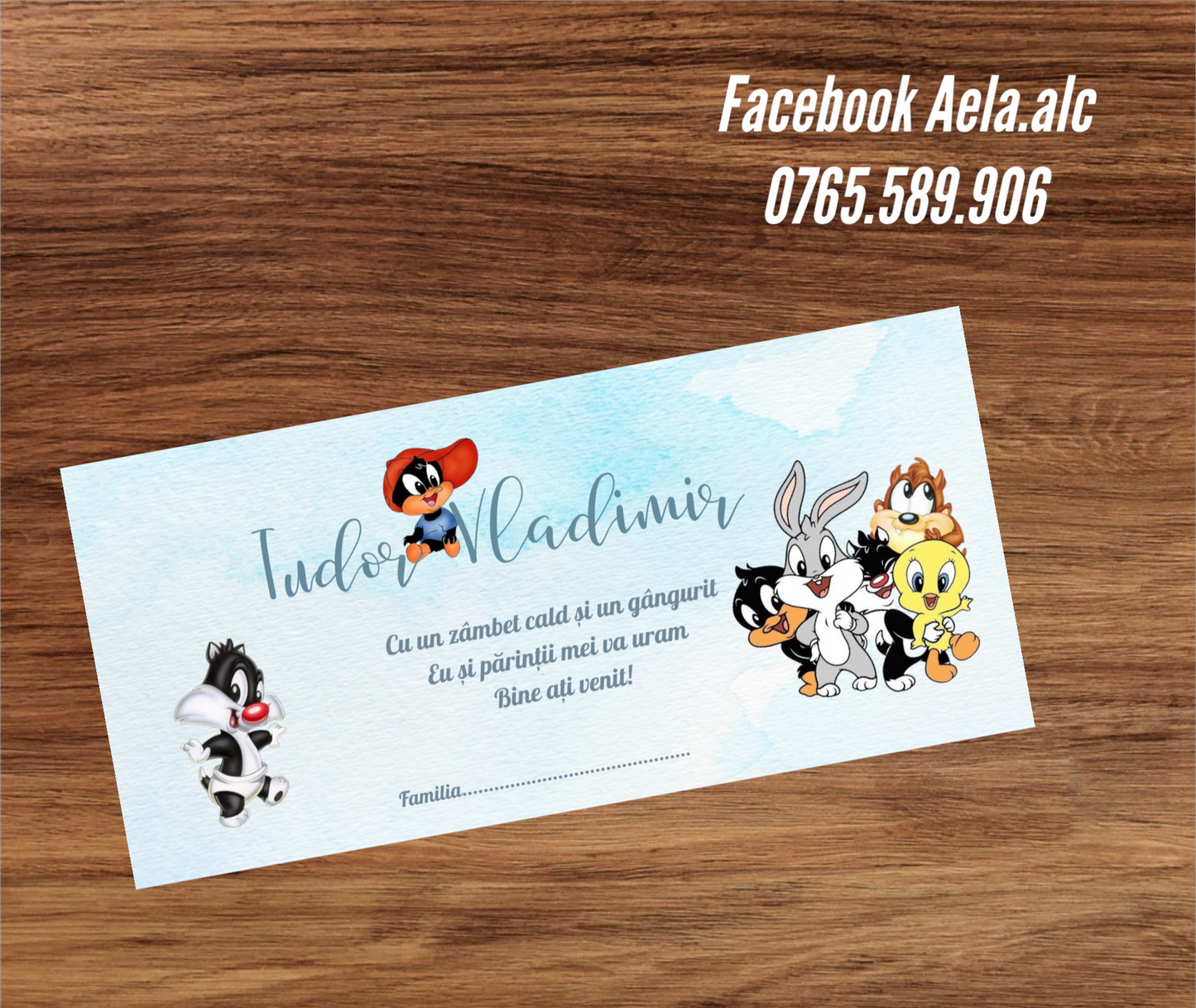 Plic de bani botez personaje Disney cod 49