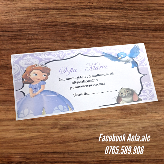 Plic de bani botez Prințesa Sofia cod 91