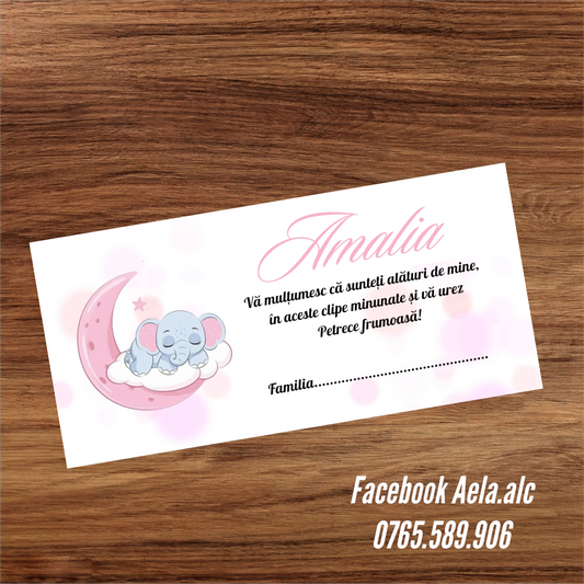Plic de bani botez bebe elefantel roz cod 54