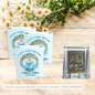 Iconita maica marturie Cenusareasa botez