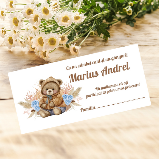 Plic de bani botez ursulet maro cod 12